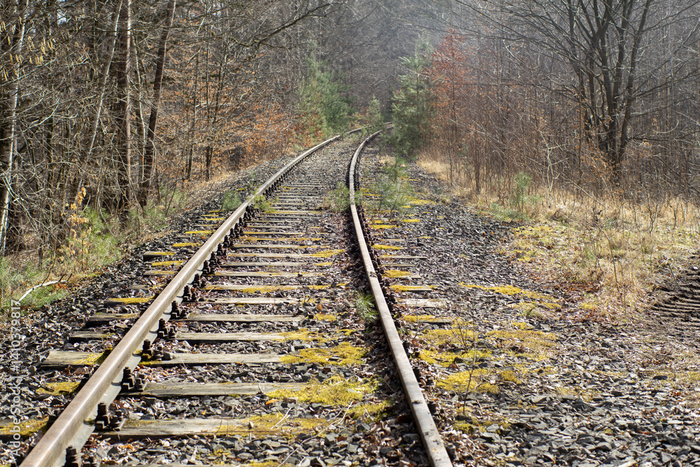 Fototapeta premium Stare nieużywane i zarastające torowisko