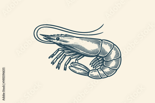 Engraved shrimp illustration in  vintage style