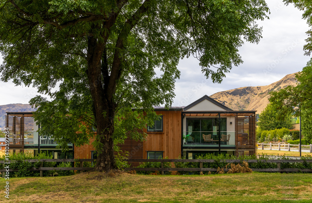 A modern house and an old big tree in Wanaka, South Island, New Zealand