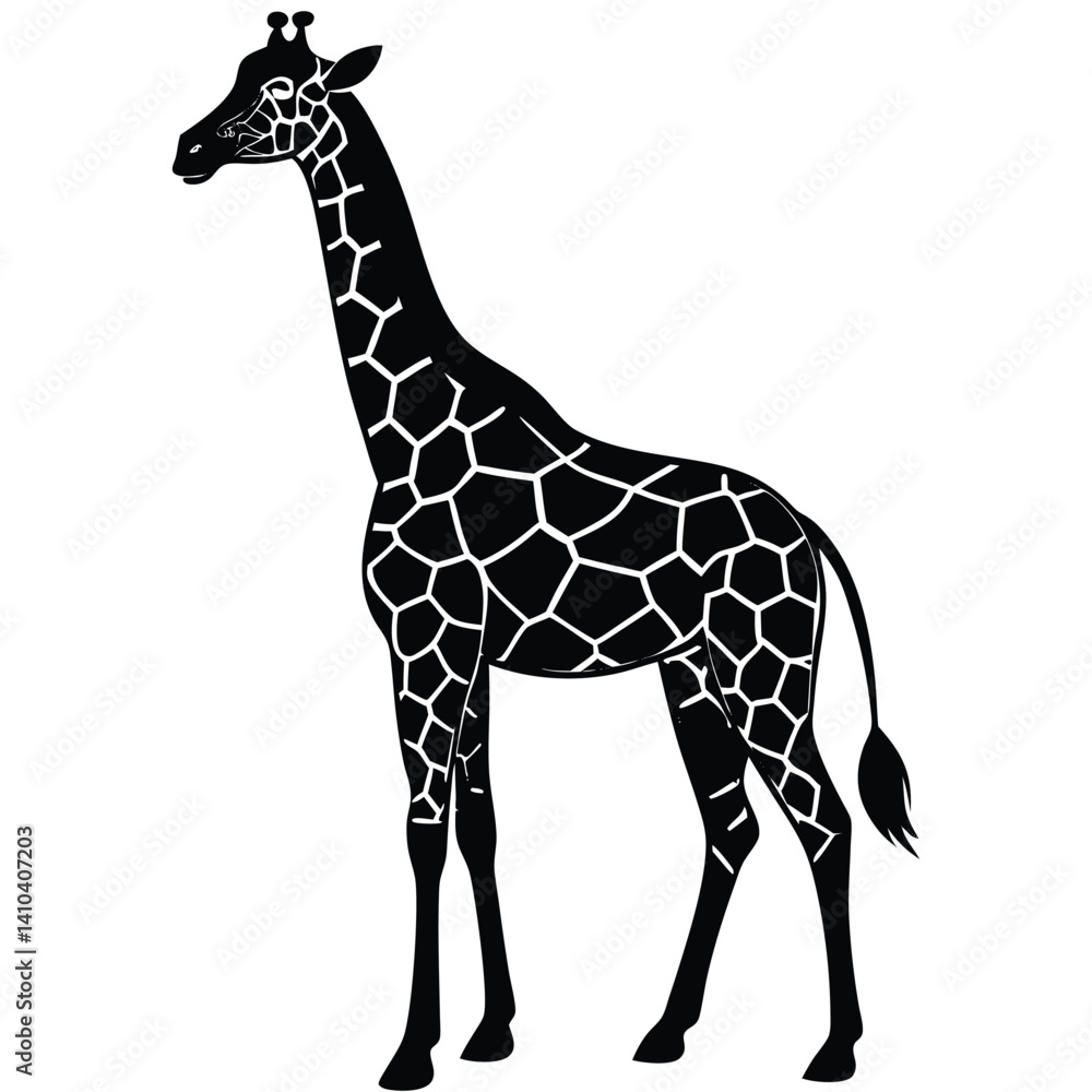 Obraz premium wild giraffe