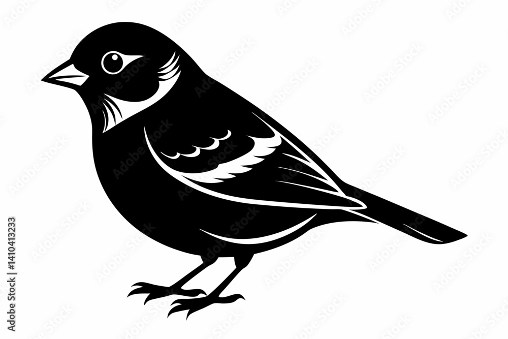 Obraz premium Chaffinch silhouette black vector