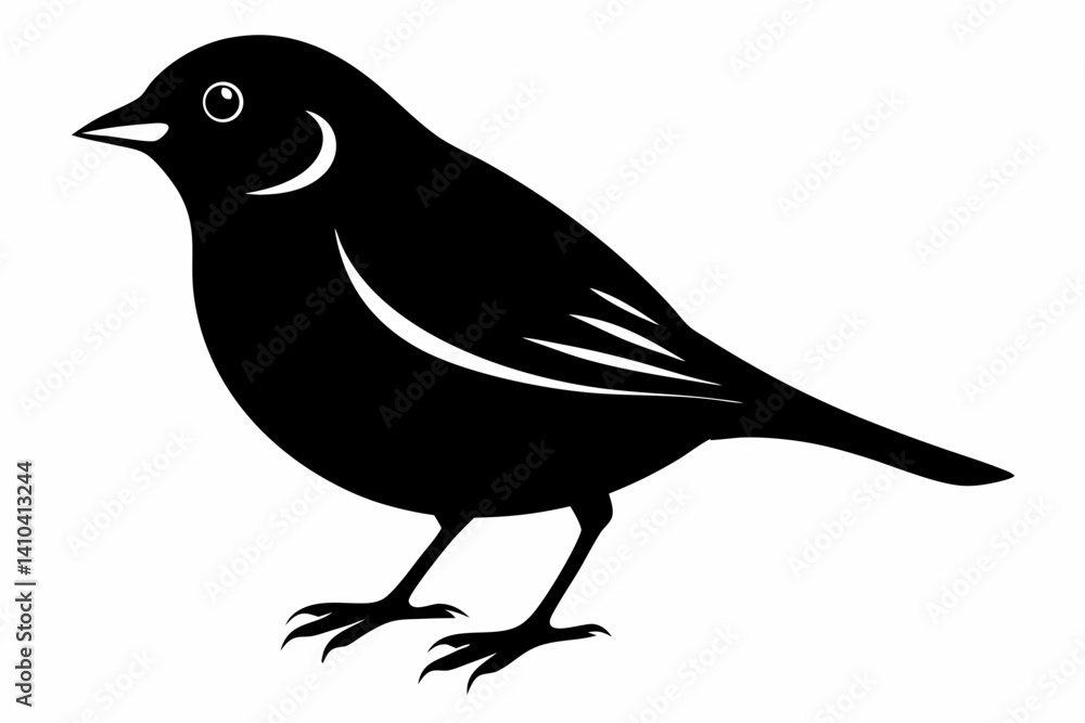 Obraz premium Chaffinch silhouette black vector
