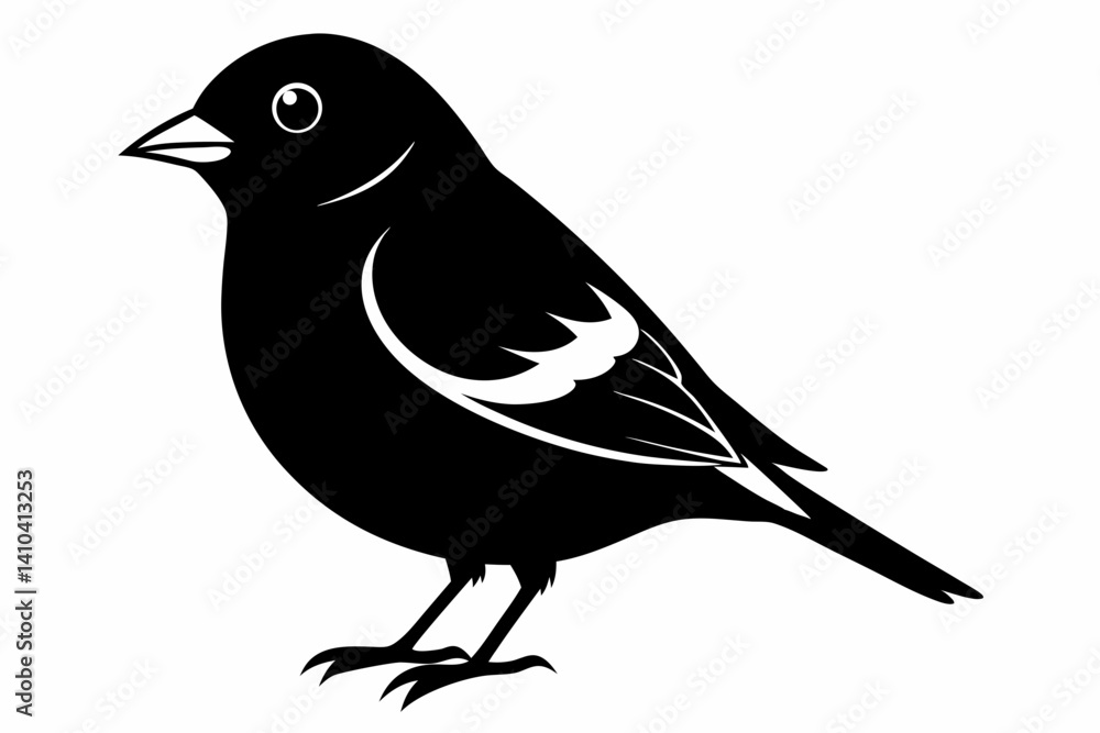 Obraz premium Chaffinch silhouette black vector