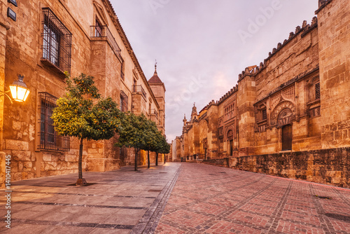 Illuminated Mezquita Cathedral and Roman Bridge in Cordoba at Sunset, Andalusia