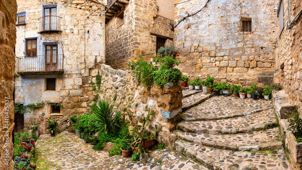 Beautiful street with cobbled staircase and pots with green plants and flowers next to the houses, Valderrobres, Teruel.