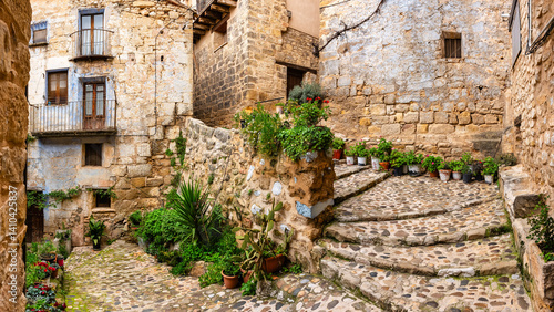 Obraz na płótnie Beautiful street with cobbled staircase and pots with green plants and flowers next to the houses, Valderrobres, Teruel. w salonie