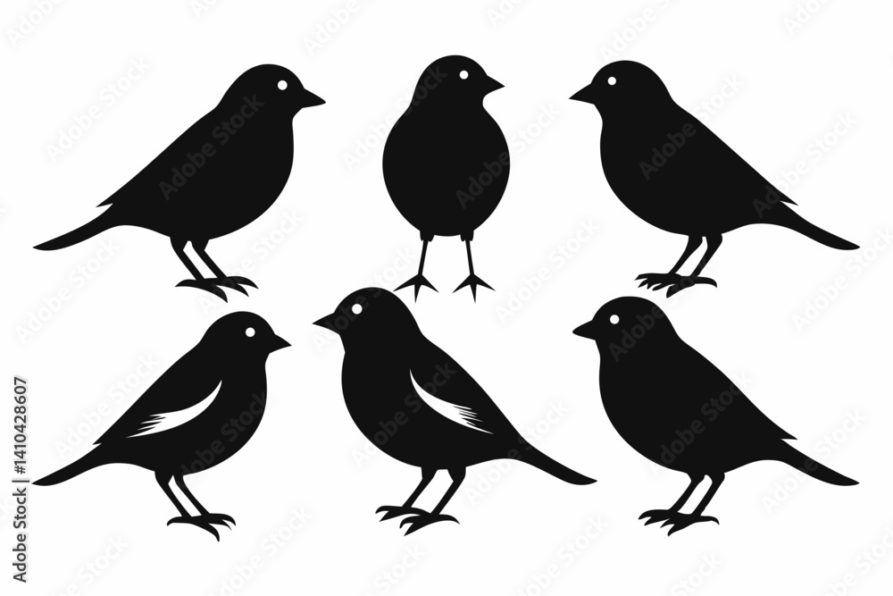 Fototapeta premium chaffinch sihouette black vector bundle
