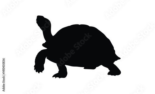 Turtle silhouette , Tortoise walking graphic, Sea reptile vector, Turtle poses on white background