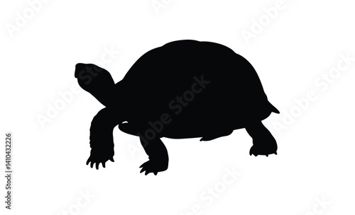Turtle silhouette , Tortoise walking graphic, Sea reptile vector, Turtle poses on white background