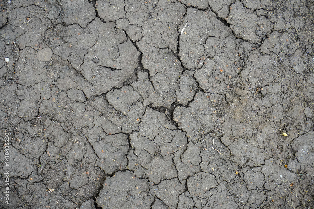 Dry Cracked Earth Surface Texture Background for Agriculture and Environment Dry Cracked Earth Surface Texture Background for Agriculture and Environment