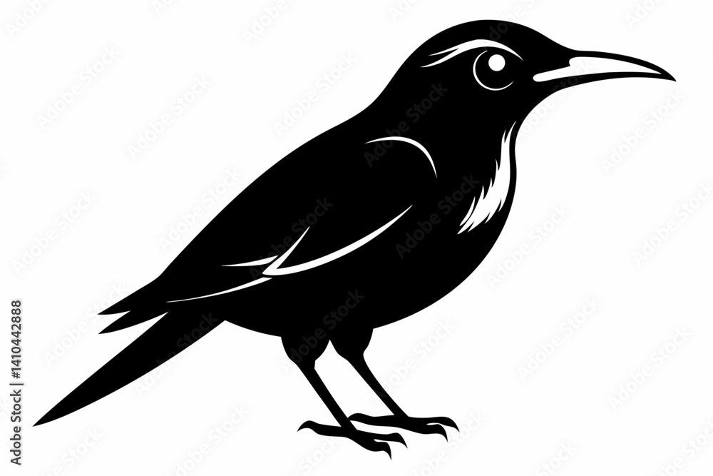 Naklejka premium wallcreeper sihouette black vector