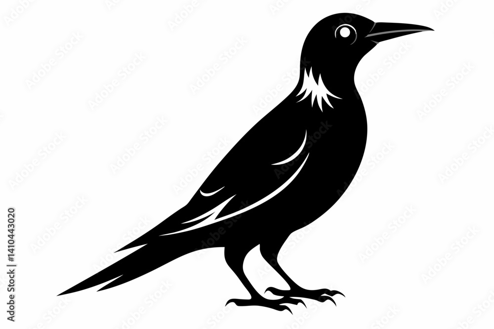 Obraz premium wallcreeper sihouette black vector
