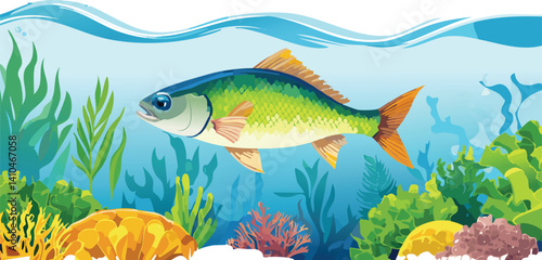 Fish swimming under the ocean water vector isolated