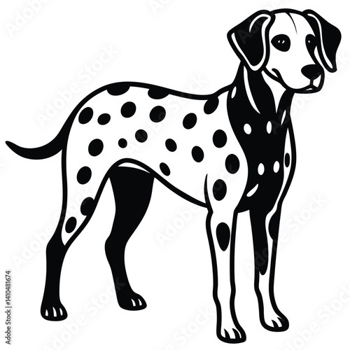 Black and white great dane puppy, a domestic canine pet, standing mammal illustration
