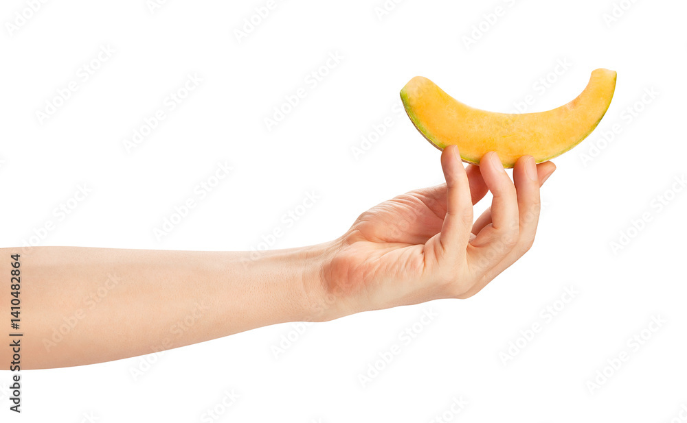 sliced cantaloupe in hand path isolated on white sliced cantaloupe in hand path isolated on white