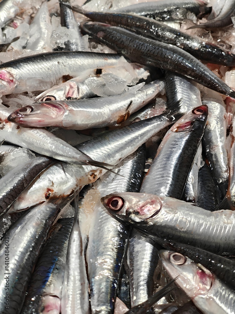 Obraz premium Anchovy from the Cantabrian Sea on ice at the fishmonger's.