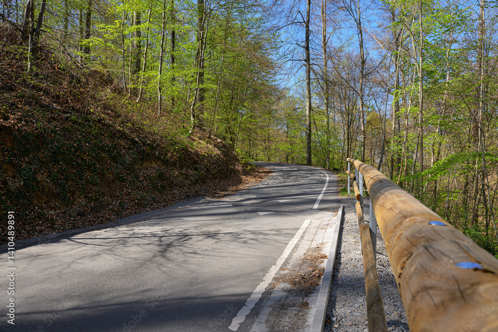 curved forest road spring germany no cars empty outdoors