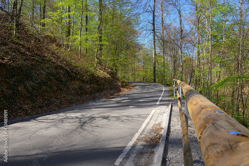 Obraz na płótnie curved forest road spring germany no cars empty outdoors w salonie