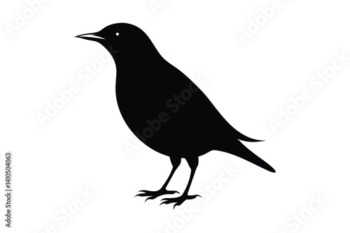 crow on a white background