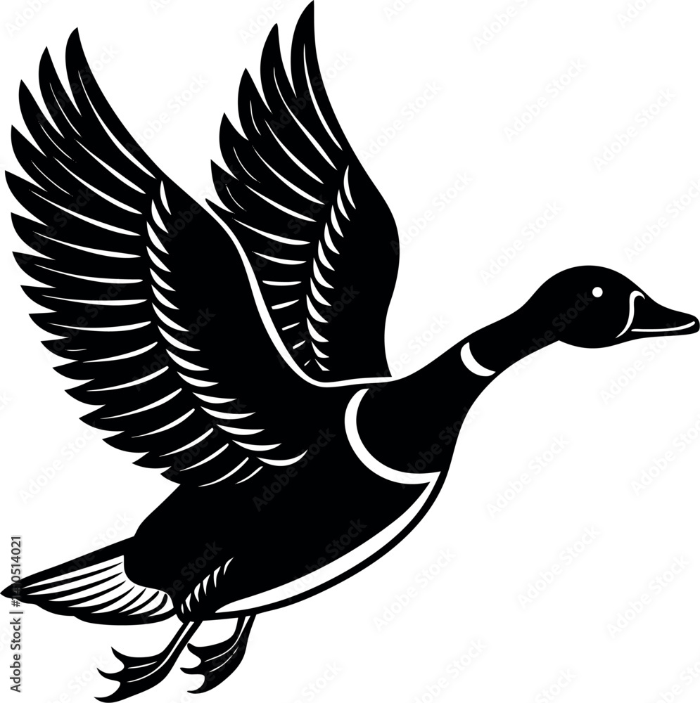 Obraz premium Flying Duck Silhouette Vector – Mallard Bird in Flight Clipart for Hunting or Wildlife Design