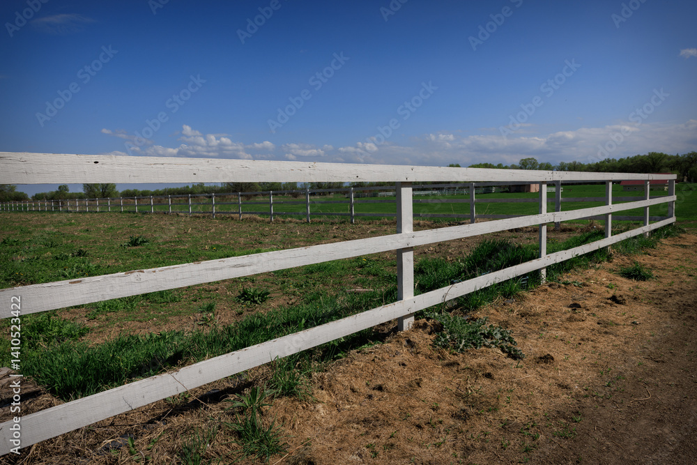 Fototapeta premium Perspective View of Farm Fence in Meadow