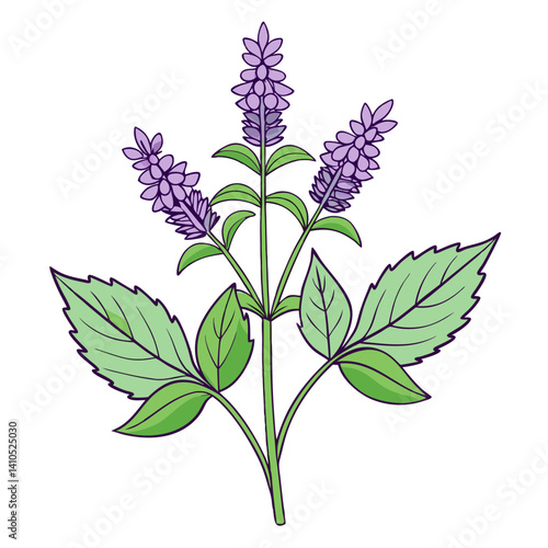  Charming Anise Hyssop Bouquet Flower Design