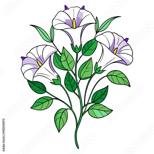 Vibrant Moonflower Bouquet Flowers Illustration