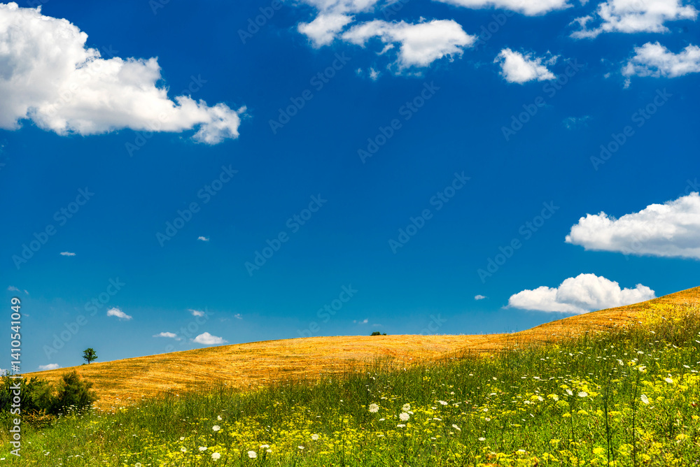 Obraz premium rural countryside landscape during a sunny summer day inside Val d'Agri, Basilicata