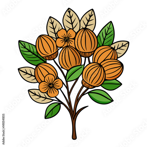  Lovely Nutmeg Bouquet Flowers Illustration