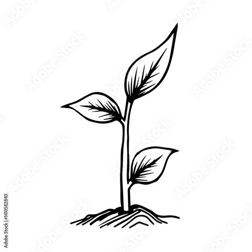Young plant sprouting in black and white illustration  