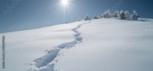 Wallpaper Mural Winter Trail Through Snowy Mountains Torontodigital.ca