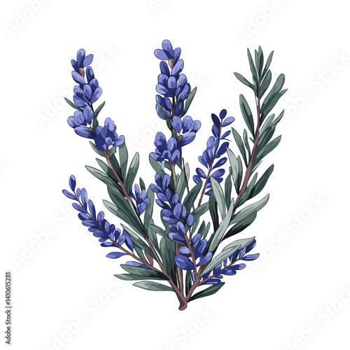 Illustration of rosemary flowers with green leaves on a clean white background. Concept of nature, herbal plants, and beauty in simplicity