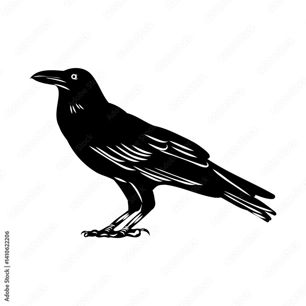 Obraz premium crow, vector sketch