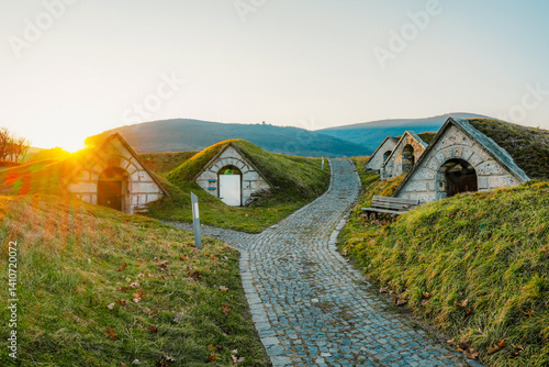 Fotografi Traditional wine cellars in Hercegkut near Sarospatak Tokaj region Hungary