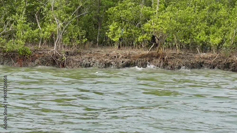 A section of the Moheshkhali Channel River and adjacent mangrove forest at the mouth of the Bakkhali River in Cox's Bazar at Chittagong District. A section of the Moheshkhali Channel River and adjacent mangrove forest at the mouth of the Bakkhali River in Cox's Bazar at Chittagong District.
