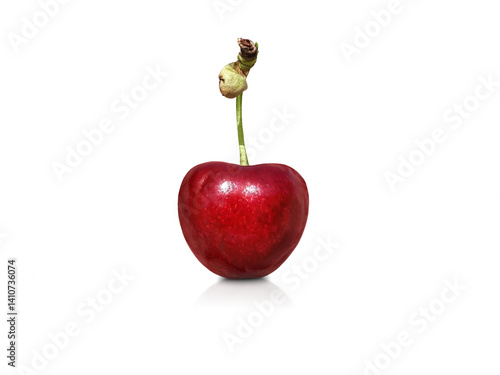 Single ripe cherry with stem isolated on transparent background, fresh and glossy with rich red color.