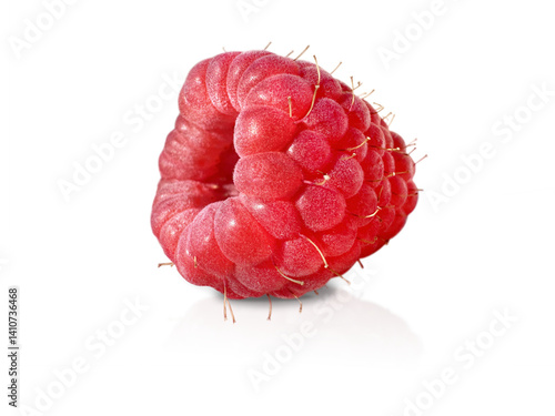 Single fresh raspberry in close-up, isolated on transparent background. Juicy, vibrant and detailed.