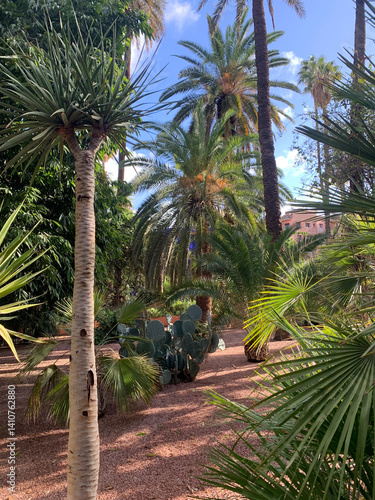 Majorelle garden in Marrakech