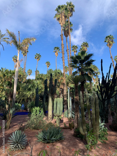 Majorelle garden in Marrakech, Morocco 
