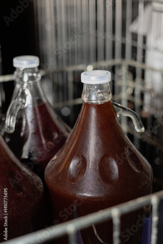 Cuadro en lienzo Homemade red wine in large glass demijohns with handles, sealed with plastic caps