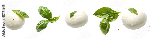 Set of mozzarella cheese balls with basil leaves isolated on white background. Concept of fresh dairy products and Italian cuisine