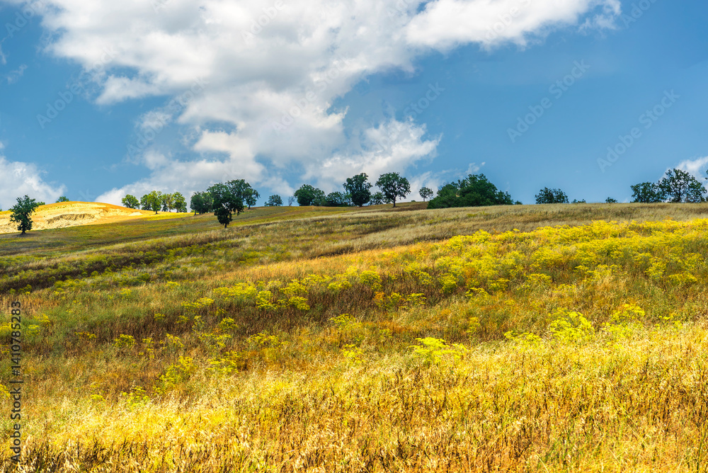 Fototapeta premium rural countryside landscape during a sunny summer day inside Val d'Agri, Basilicata