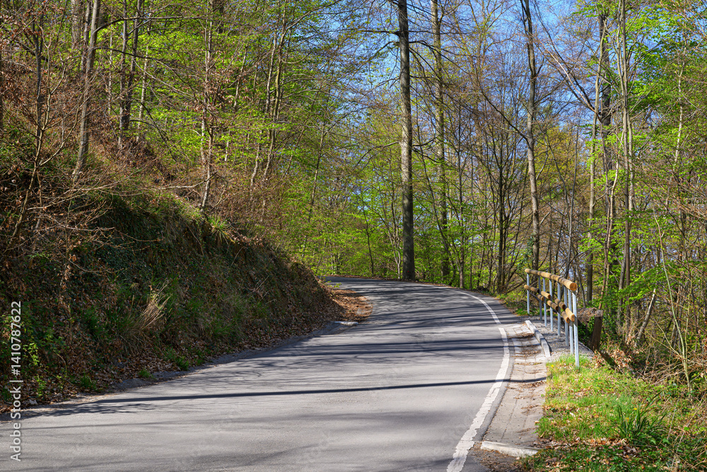 curved forest road spring germany no cars empty outdoors