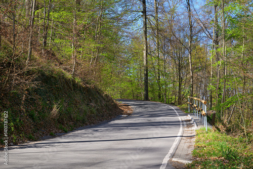 Obraz na płótnie curved forest road spring germany no cars empty outdoors w salonie