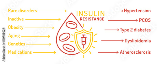 Insulin resistance causes and effects banner. Glucose metabolism disorder infographics.