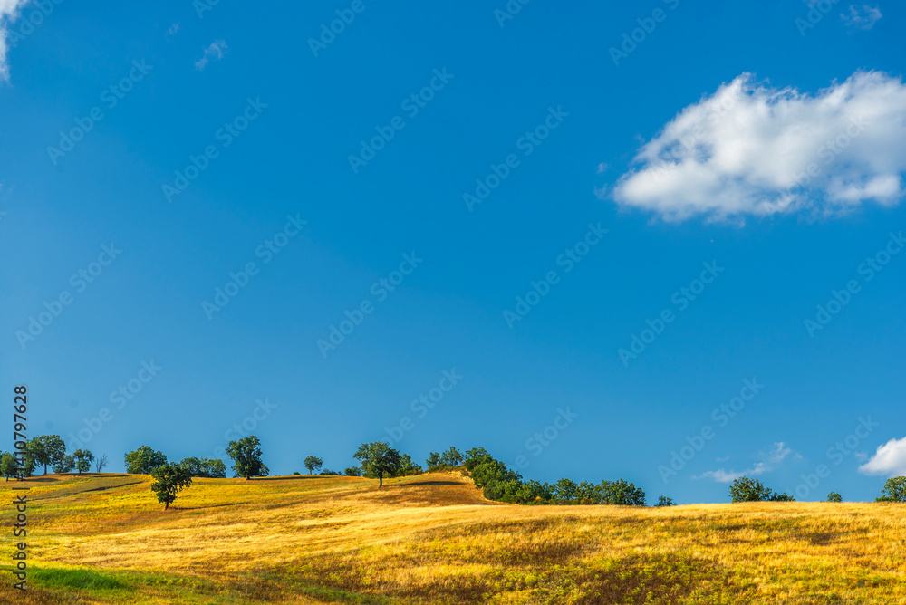 Obraz premium rural countryside landscape during a sunny summer day inside Val d'Agri, Basilicata