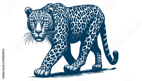 Leopard vector
