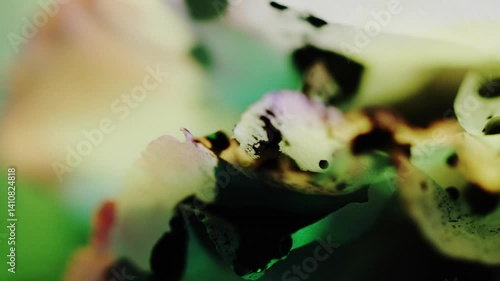 Marbling,Ink Drop,Purple,Water,Light,Black Light,Ink,Ripples,Oil Film,Colorful,C-UP,HS,Soft Focus