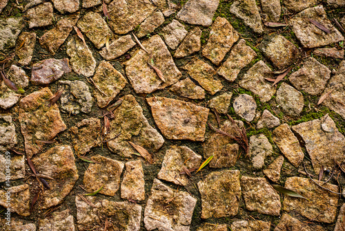 Irregular stone pavement with earthy colors and leaf details. A natural surface pattern ideal for backgrounds, architectural textures, or outdoor design themes.