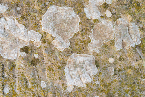 Lichen patterns on a weathered stone surface, creating a natural organic texture suitable for backgrounds, environmental design themes and eco-inspired visual compositions.